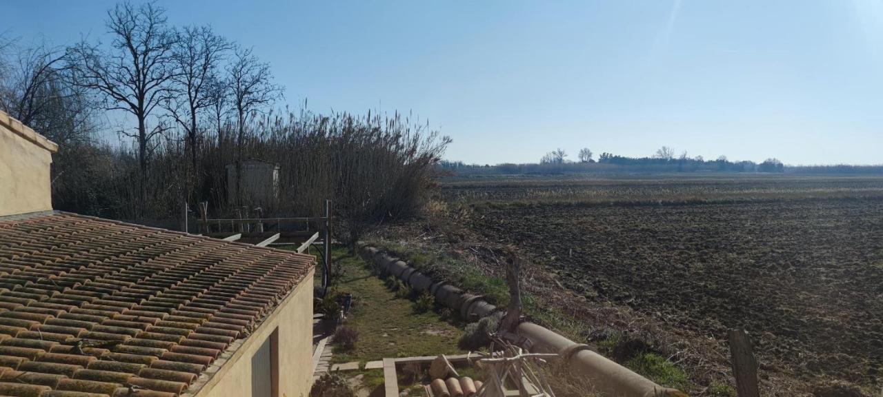 Appartement Au Coeur Des Rizieres سالين دي جيرو المظهر الخارجي الصورة