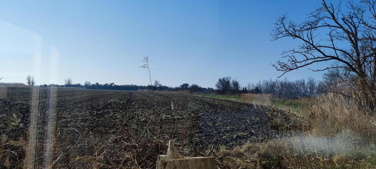 Appartement Au Coeur Des Rizieres سالين دي جيرو المظهر الخارجي الصورة