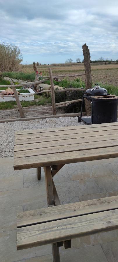 Appartement Au Coeur Des Rizieres سالين دي جيرو المظهر الخارجي الصورة